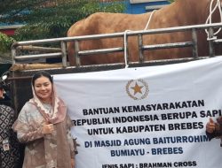 Presiden Prabowo Subianto Serahkan Sapi Qurban untuk Masyarakat Brebes Menjelang Idul Adha 1446 Hijriah