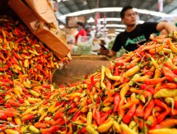 Harga Sembako Jatim Hari Ini: Elpiji 3 Kg, Cabai Keriting, Sapi Naik