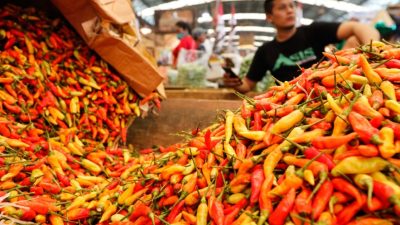 Harga Sembako Jatim Hari Ini: Elpiji 3 Kg, Cabai Keriting, Sapi Naik