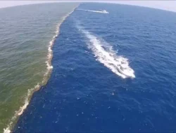 Samudra Pasifik Samudra Terluas di Dunia yang Menyimpan Banyak Misteri