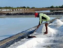 DPRD Jabar Minta Petambak Garam Cirebon